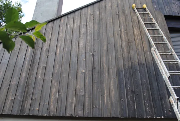 Bardage bois grisé avant traitement, échelle appuyée contre la façade