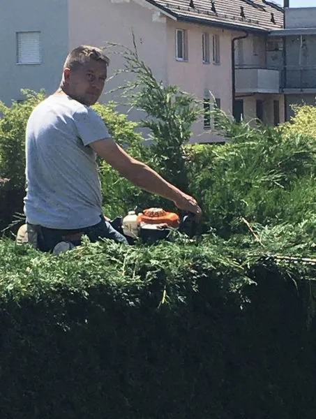 Taille d’une haie à la machine, au-dessus d’un jardin